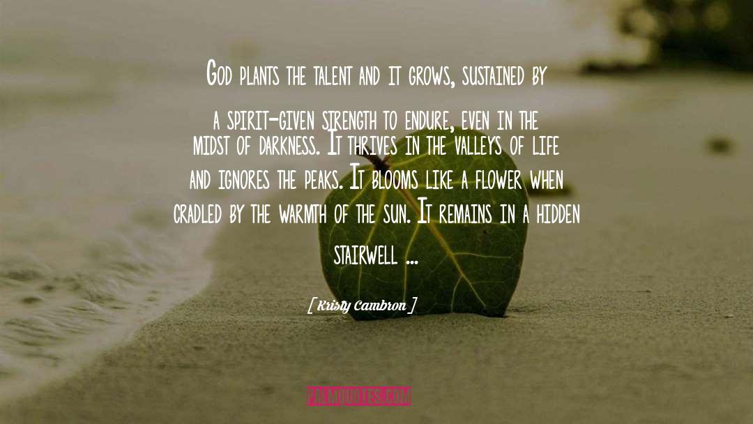 Kristy Cambron Quotes: God plants the talent and