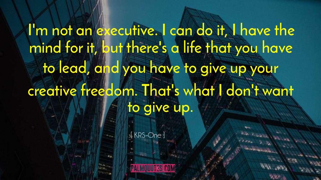 KRS-One Quotes: I'm not an executive. I