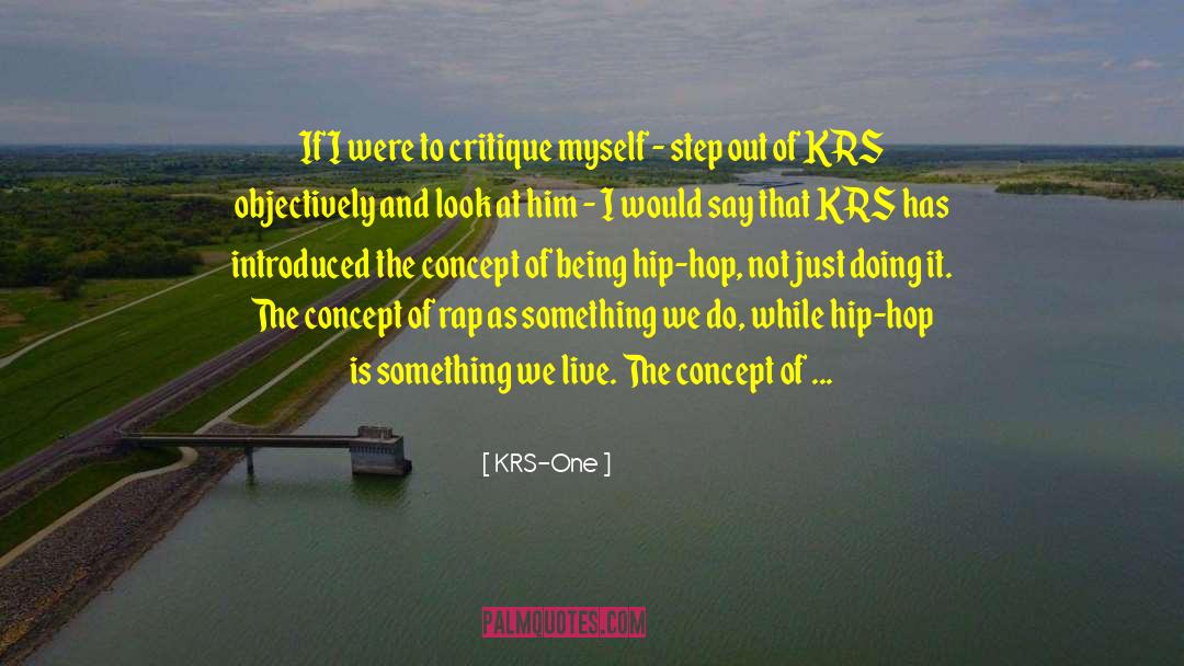 KRS-One Quotes: If I were to critique