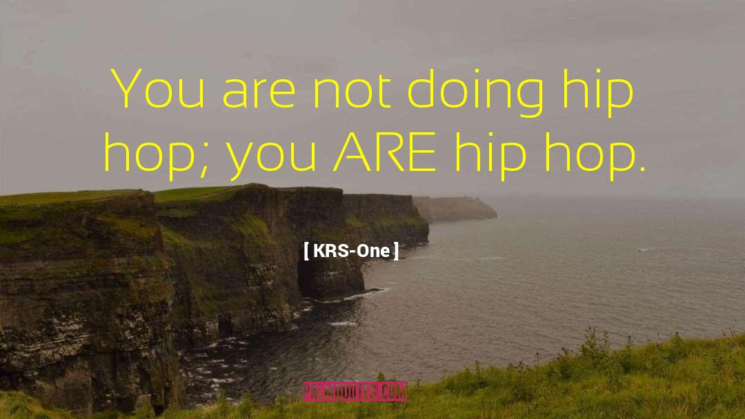 KRS-One Quotes: You are not doing hip