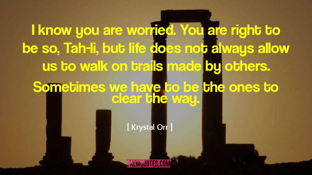 Krystal Orr Quotes: I know you are worried.
