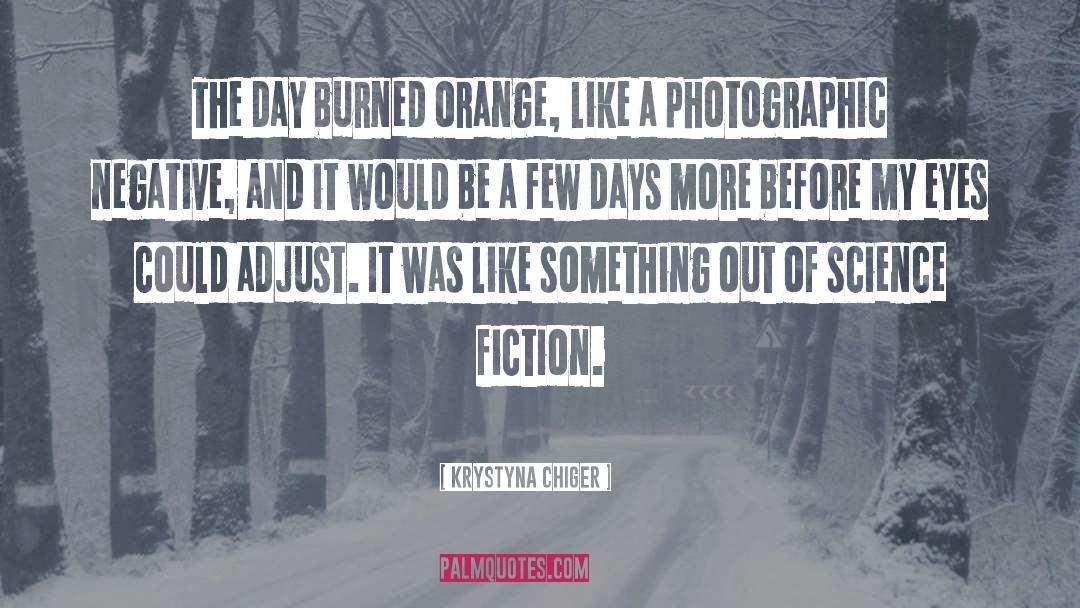 Krystyna Chiger Quotes: The day burned orange, like