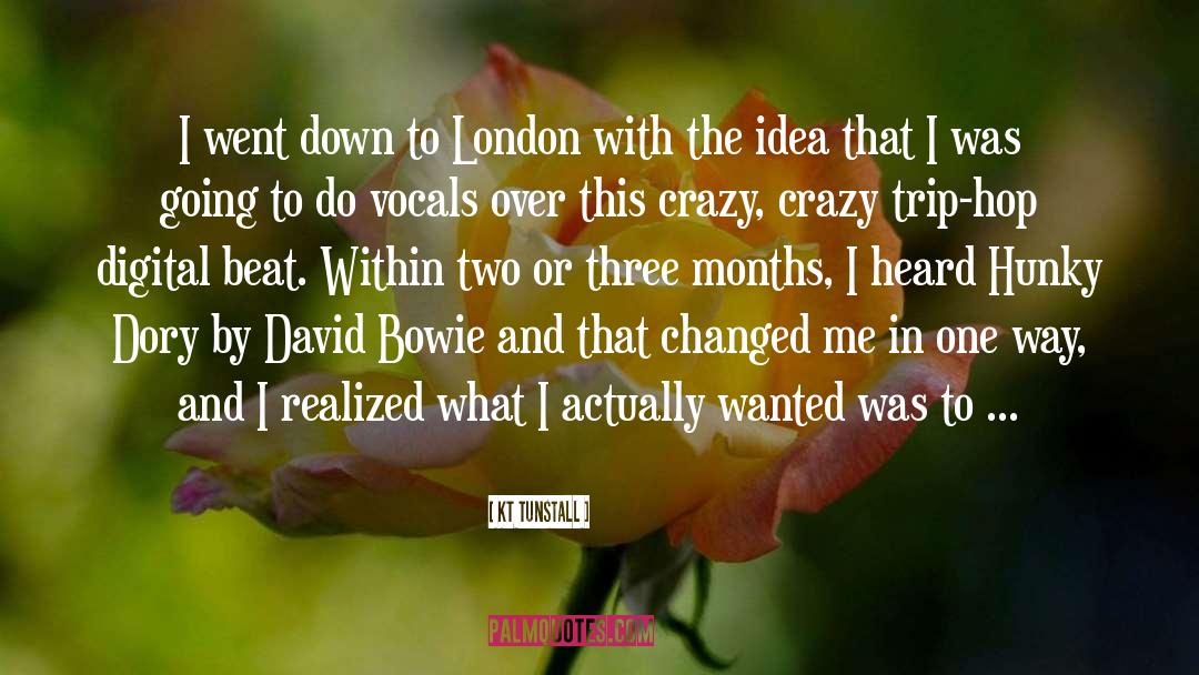 KT Tunstall Quotes: I went down to London