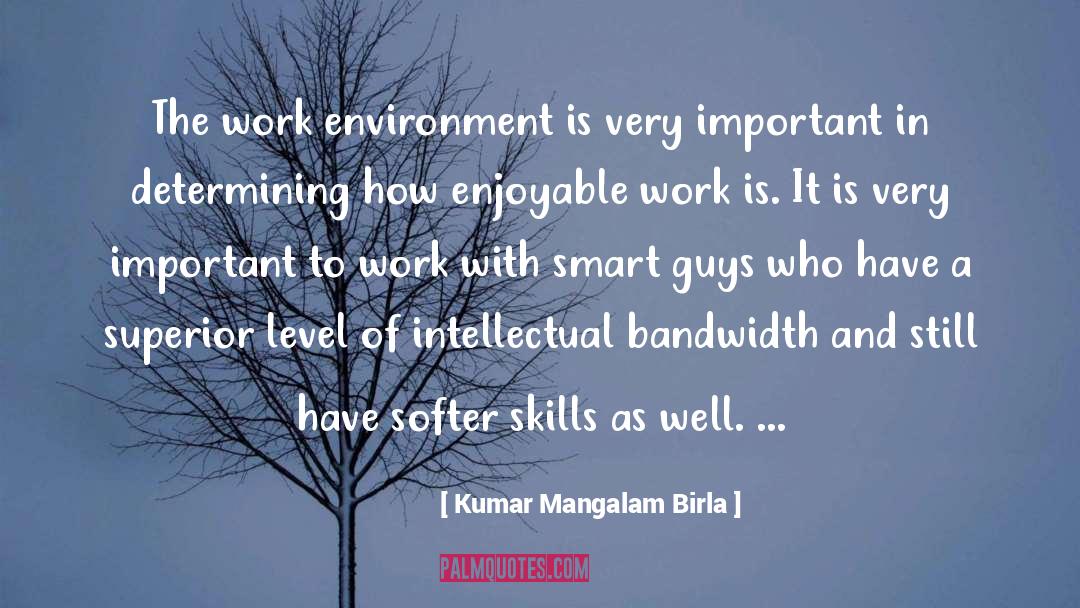 Kumar Mangalam Birla Quotes: The work environment is very