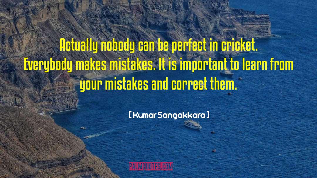 Kumar Sangakkara Quotes: Actually nobody can be perfect