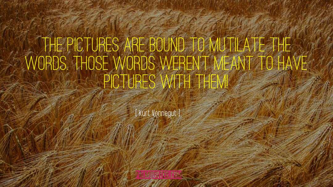 Kurt Vonnegut Quotes: The pictures are bound to