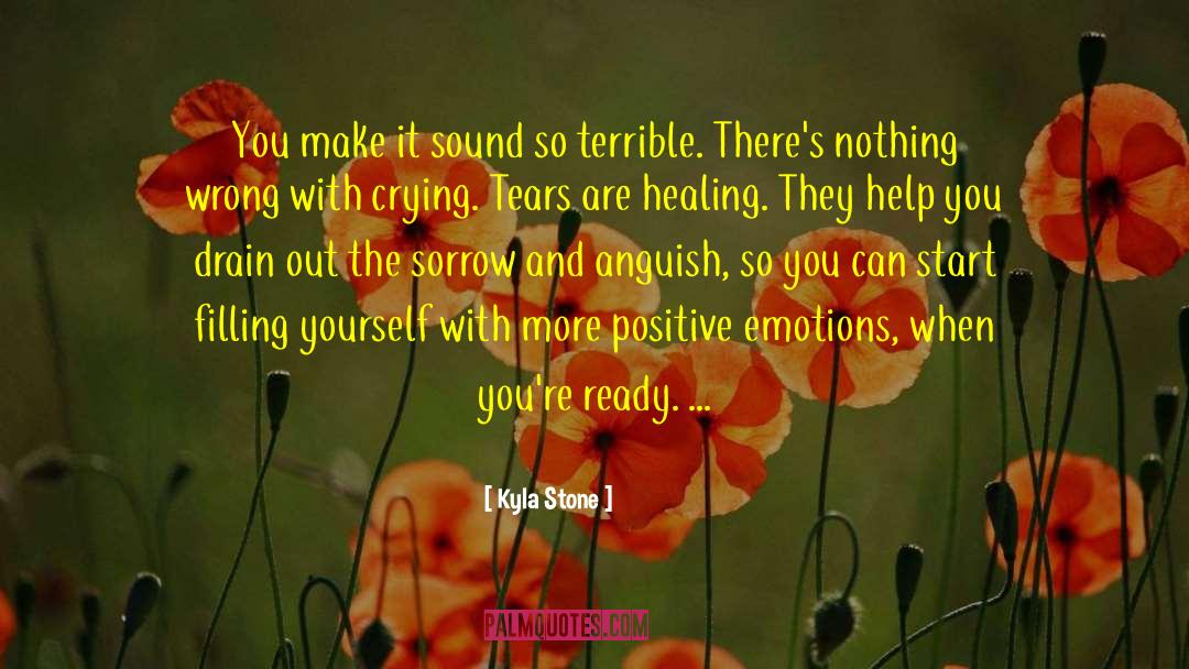 Kyla Stone Quotes: You make it sound so