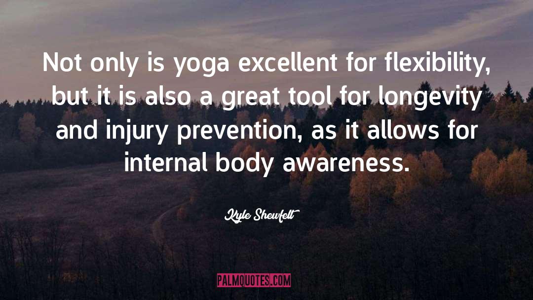 Kyle Shewfelt Quotes: Not only is yoga excellent