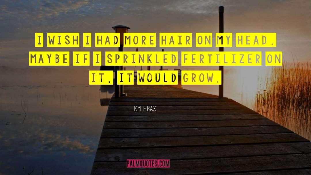 Kylie Bax Quotes: I wish I had more