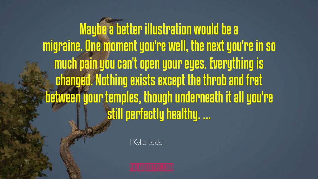 Kylie Ladd Quotes: Maybe a better illustration would