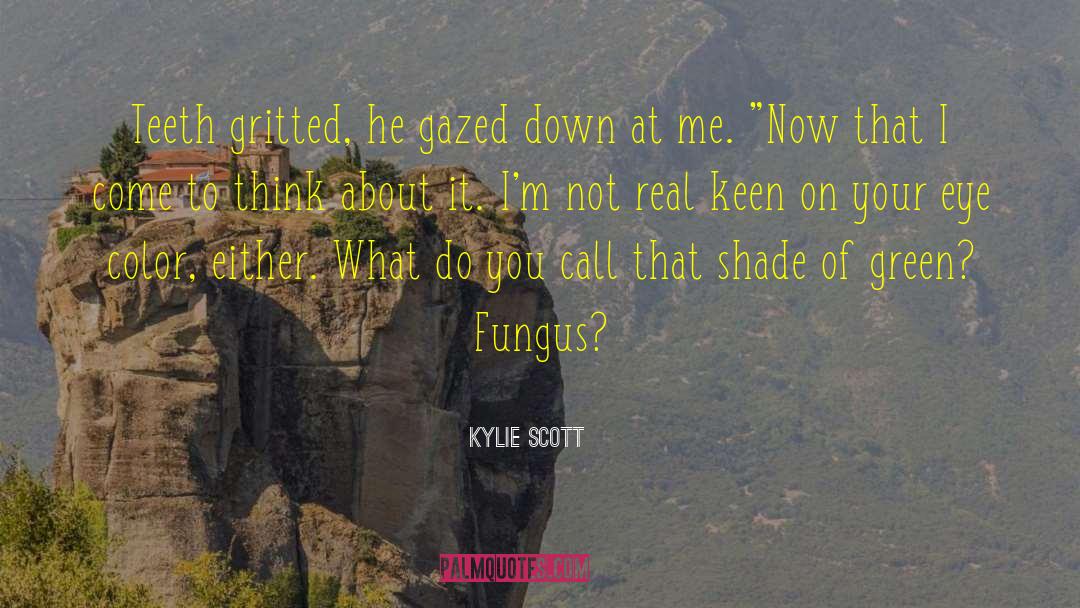Kylie Scott Quotes: Teeth gritted, he gazed down