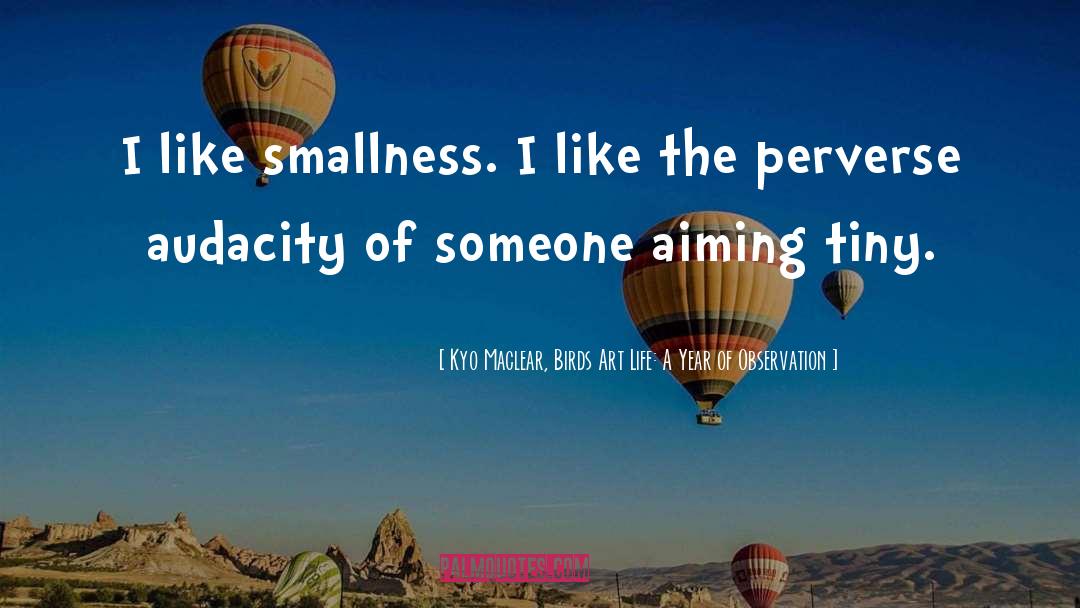 Kyo Maclear, Birds Art Life: A Year Of Observation Quotes: I like smallness. I like
