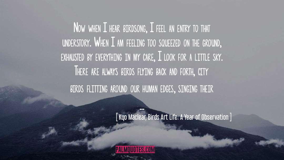Kyo Maclear, Birds Art Life: A Year Of Observation Quotes: Now when I hear birdsong,