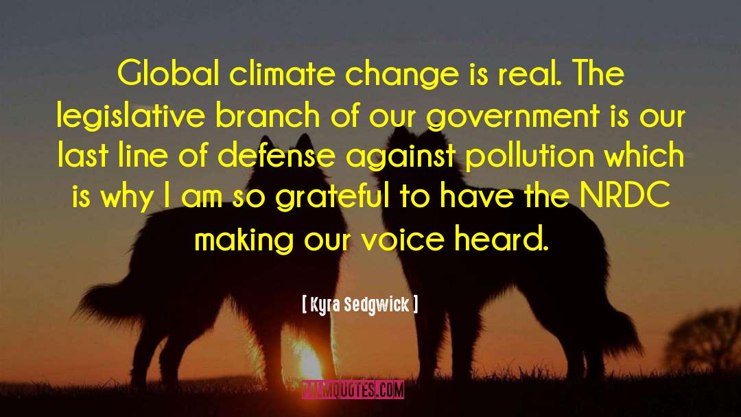 Kyra Sedgwick Quotes: Global climate change is real.