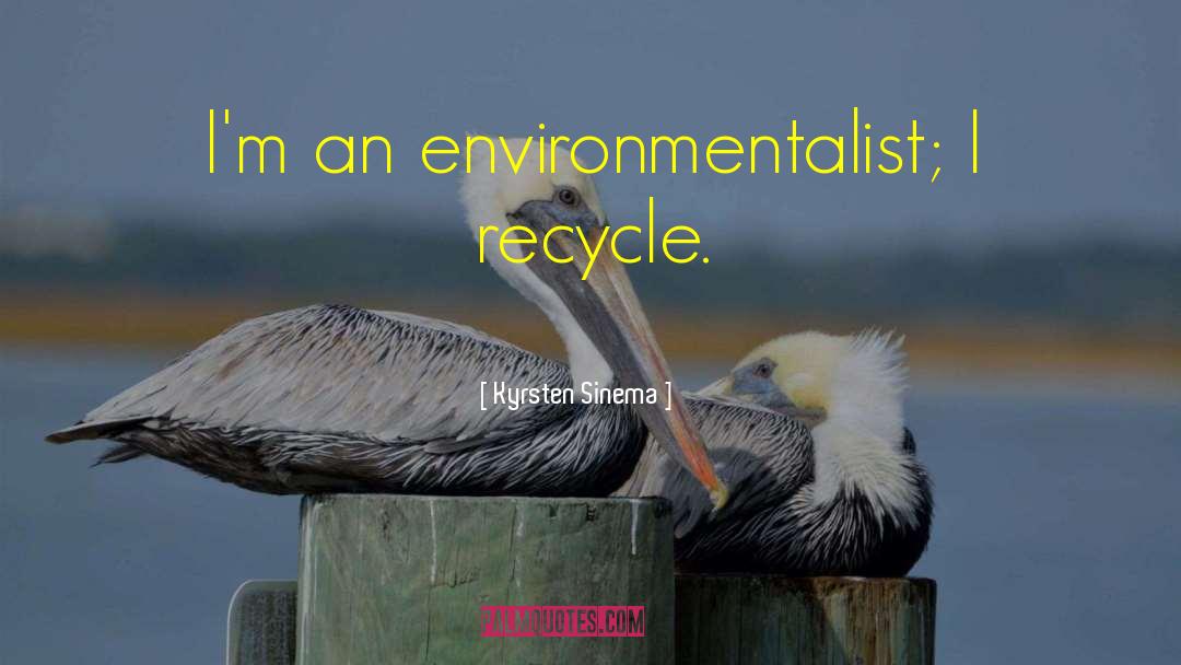 Kyrsten Sinema Quotes: I'm an environmentalist; I recycle.