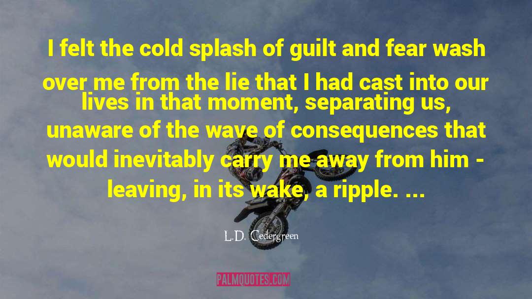 L.D. Cedergreen Quotes: I felt the cold splash