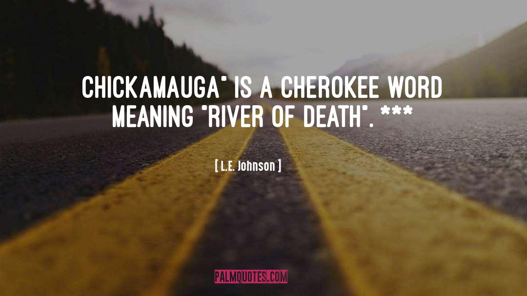 L.E. Johnson Quotes: Chickamauga