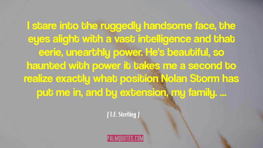 L.E. Sterling Quotes: I stare into the ruggedly