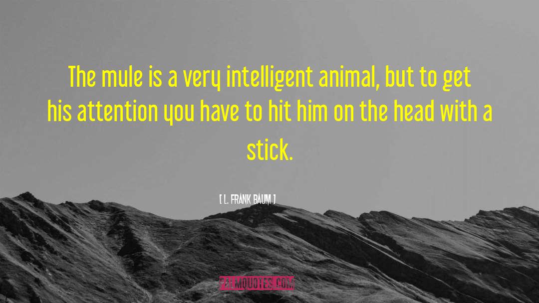 L. Frank Baum Quotes: The mule is a very