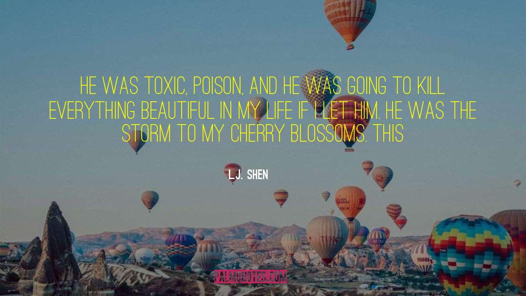 L.J. Shen Quotes: He was toxic, poison, and