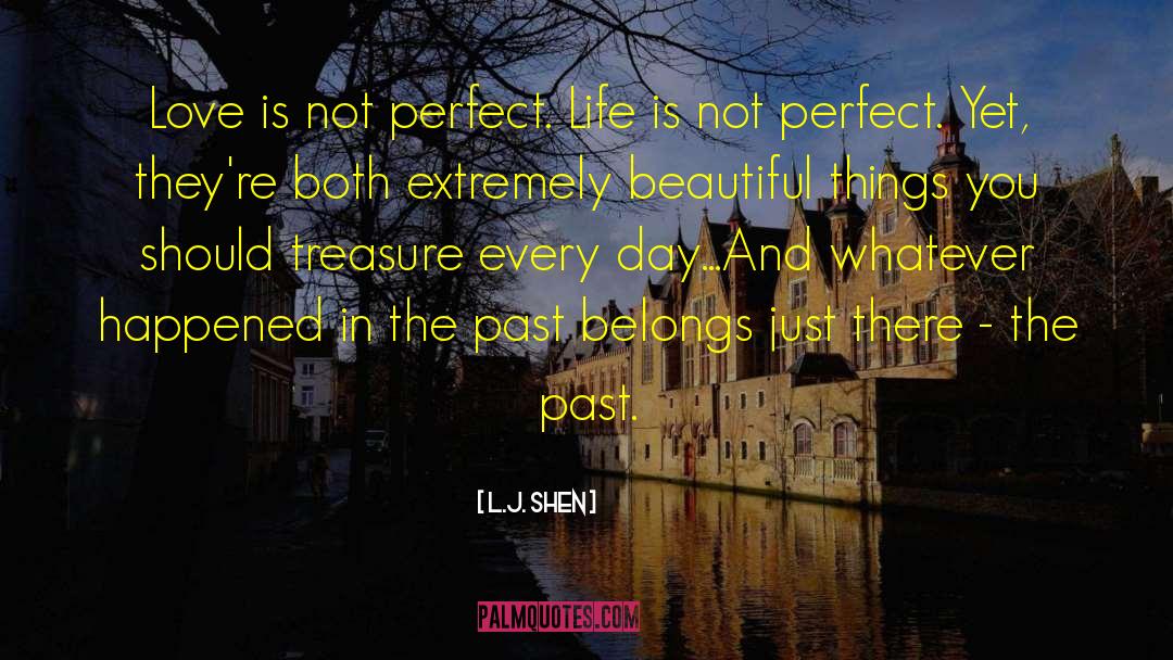 L.J. Shen Quotes: Love is not perfect. Life
