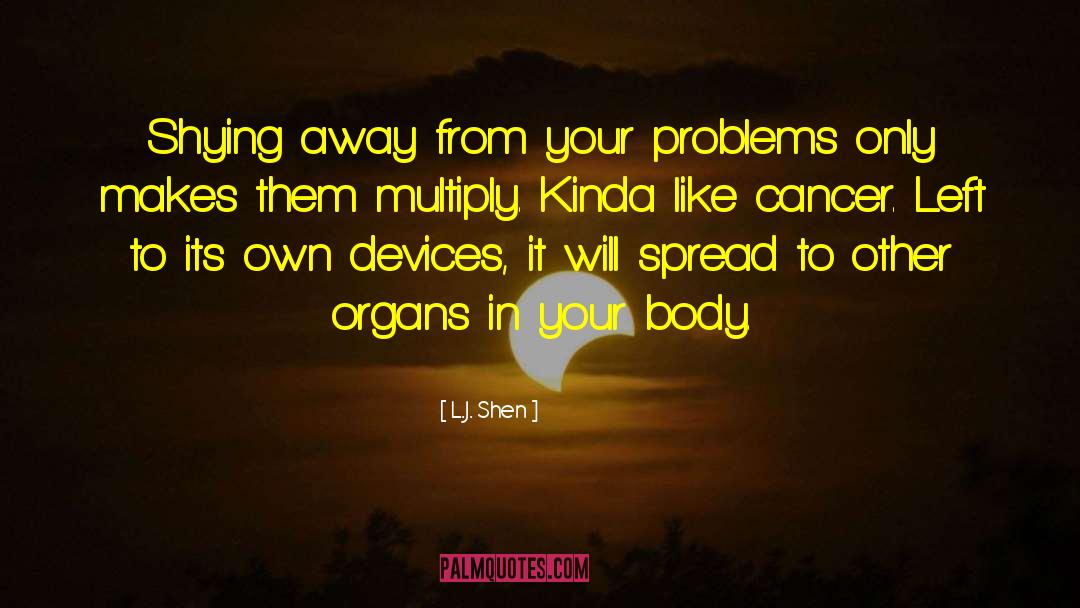 L.J. Shen Quotes: Shying away from your problems