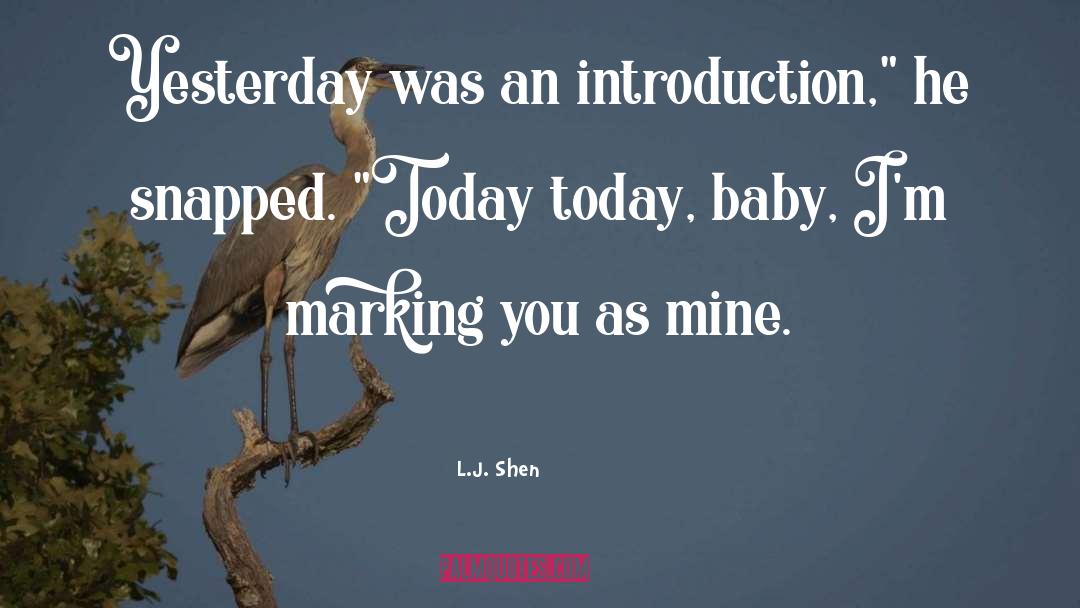 L.J. Shen Quotes: Yesterday was an introduction,