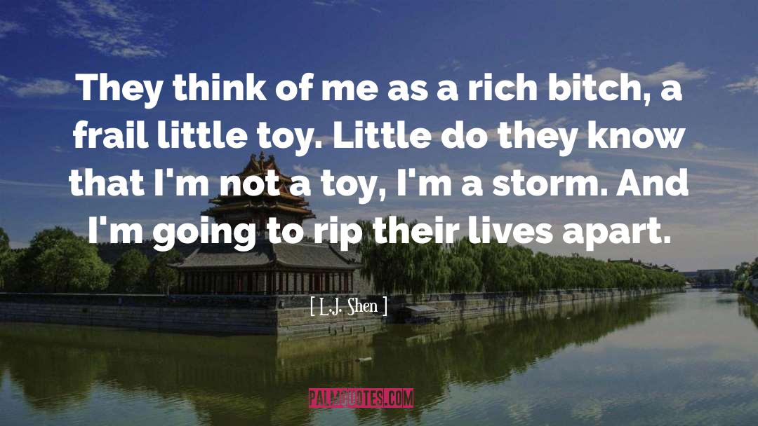 L.J. Shen Quotes: They think of me as