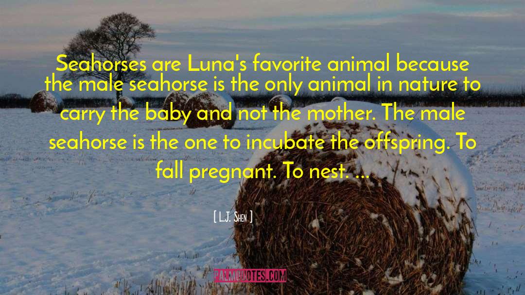 L.J. Shen Quotes: Seahorses are Luna's favorite animal