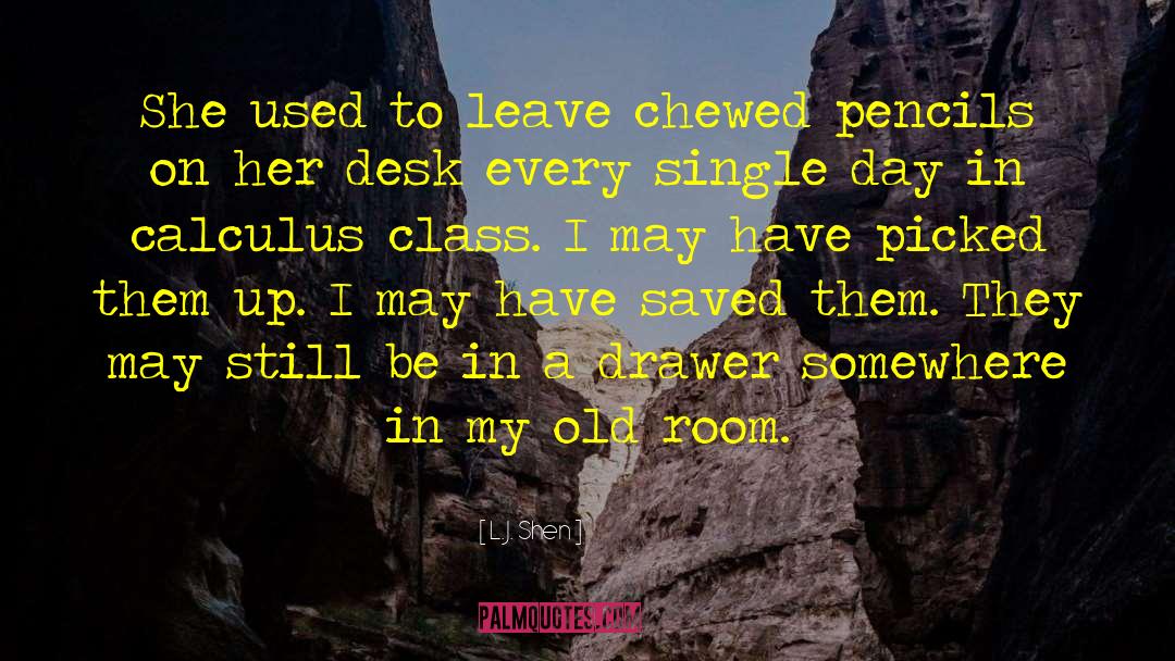 L.J. Shen Quotes: She used to leave chewed