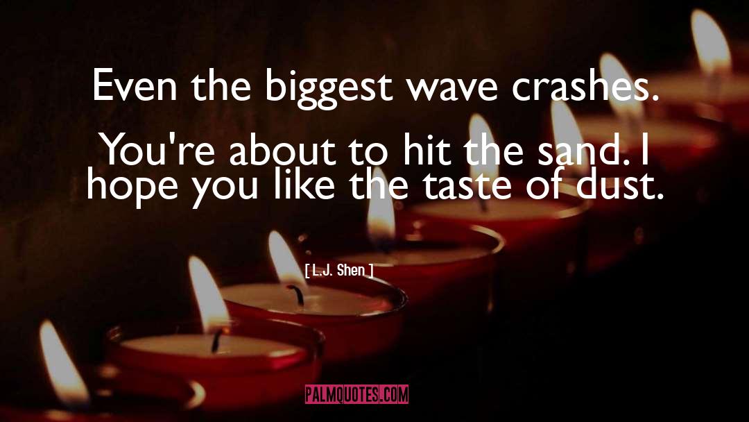 L.J. Shen Quotes: Even the biggest wave crashes.