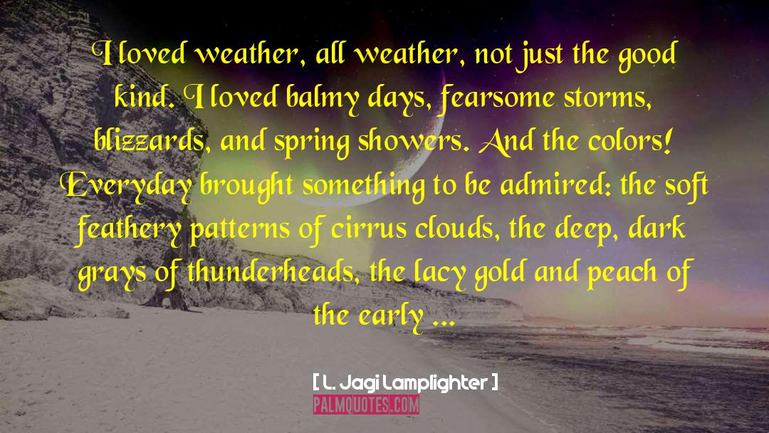 L. Jagi Lamplighter Quotes: I loved weather, all weather,