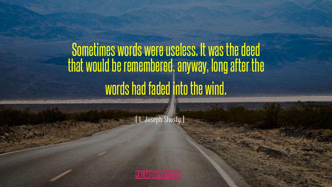 L. Joseph Shosty Quotes: Sometimes words were useless. It