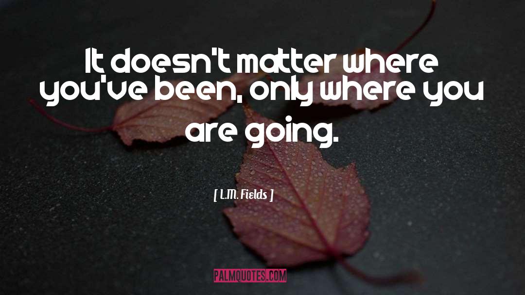 L.M. Fields Quotes: It doesn't matter where you've