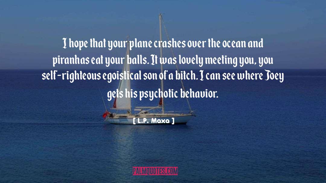 L.P. Maxa Quotes: I hope that your plane