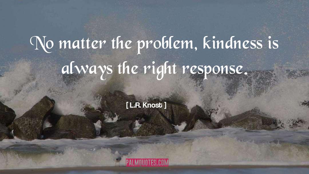 L.R. Knost Quotes: No matter the problem, kindness