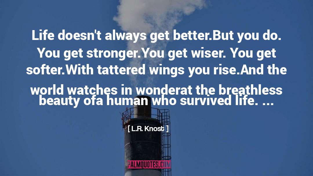 L.R. Knost Quotes: Life doesn't always get better.<br
