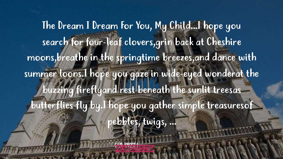 L.R. Knost Quotes: The Dream I Dream For