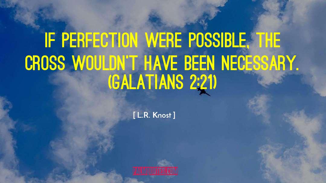 L.R. Knost Quotes: If perfection were possible, the