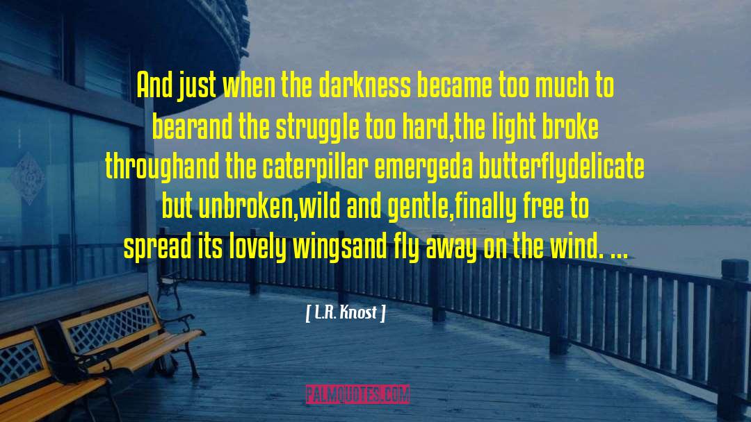 L.R. Knost Quotes: And just when the darkness