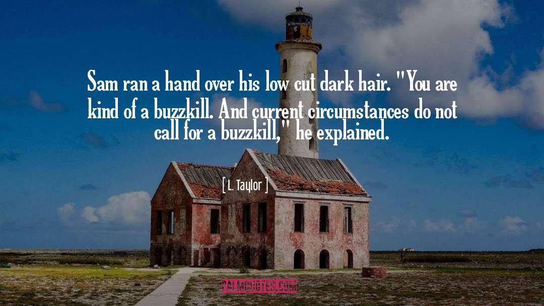 L. Taylor Quotes: Sam ran a hand over