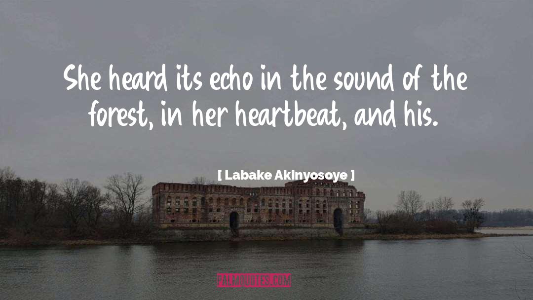 Labake Akinyosoye Quotes: She heard its echo in