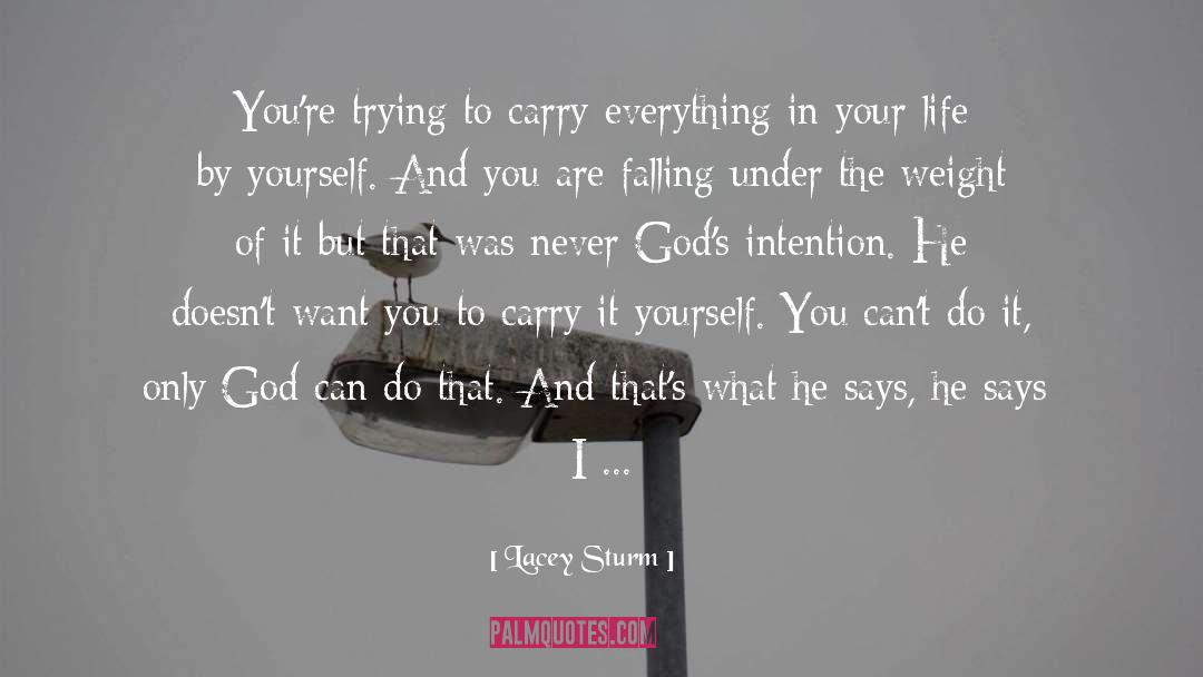 Lacey Sturm Quotes: You're trying to carry everything