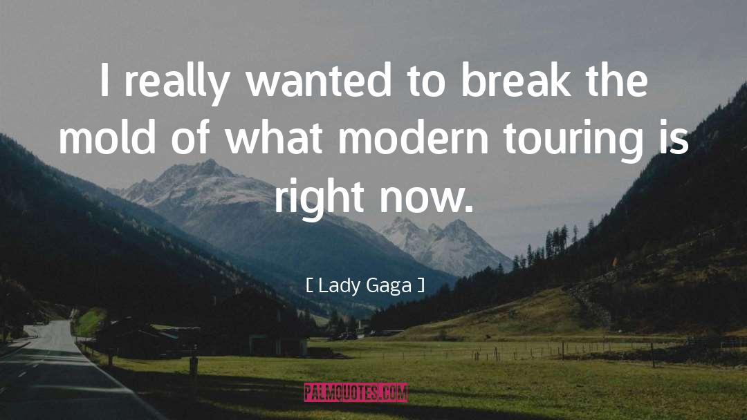 Lady Gaga Quotes: I really wanted to break