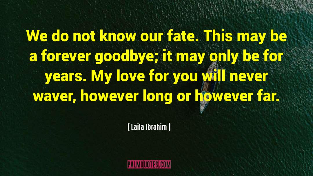 Laila Ibrahim Quotes: We do not know our