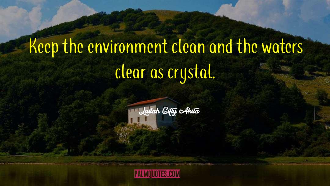 Lailah Gifty Akita Quotes: Keep the environment clean and
