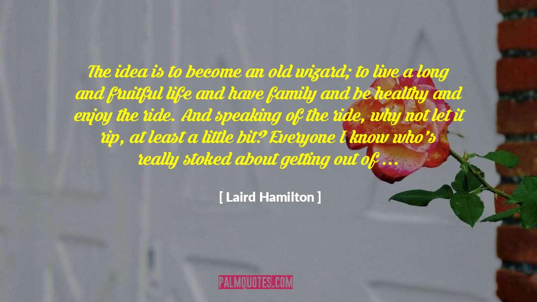 Laird Hamilton Quotes: The idea is to become