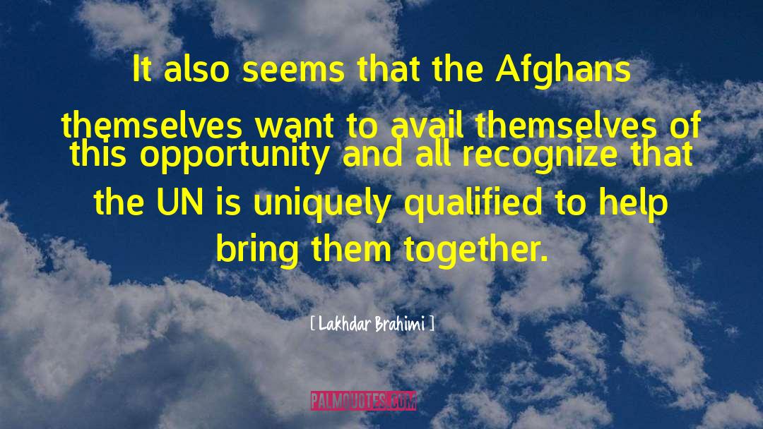 Lakhdar Brahimi Quotes: It also seems that the