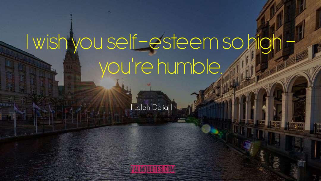 Lalah Delia Quotes: I wish you self-esteem so