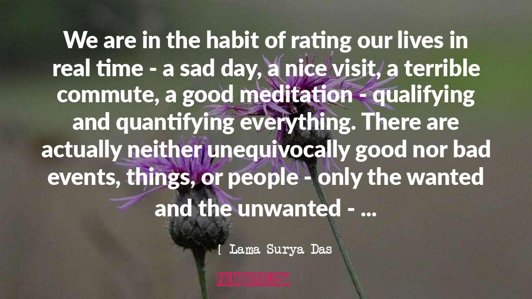 Lama Surya Das Quotes: We are in the habit